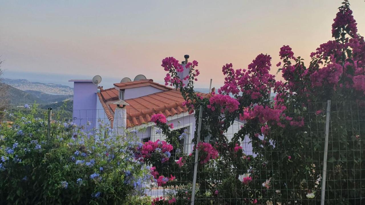 Villa Kokos Dilinata Luaran gambar